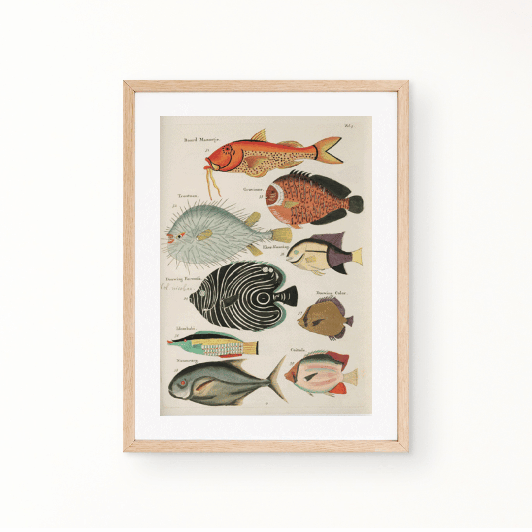 Colour Fish Art Print Decor