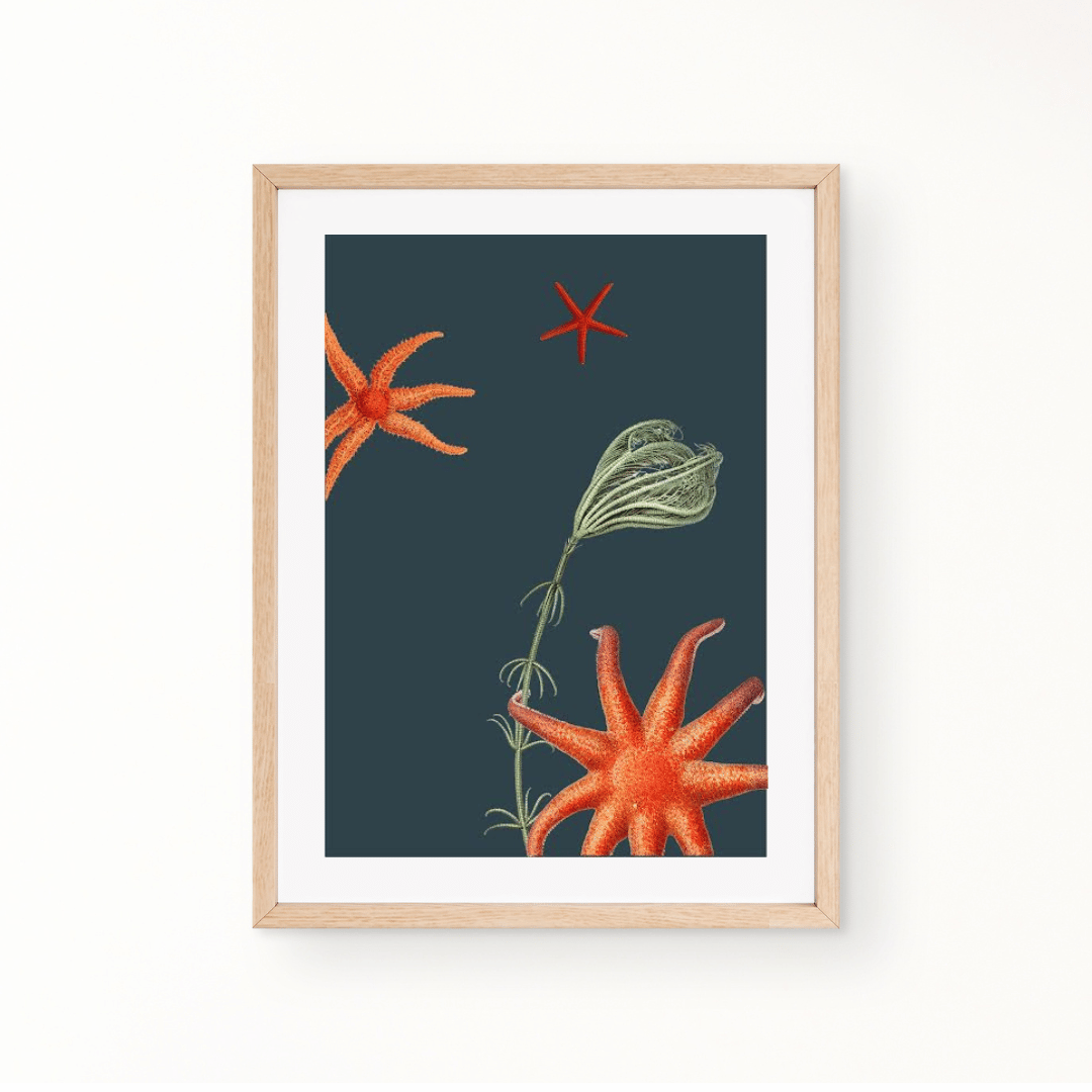 Wall Art Starfish