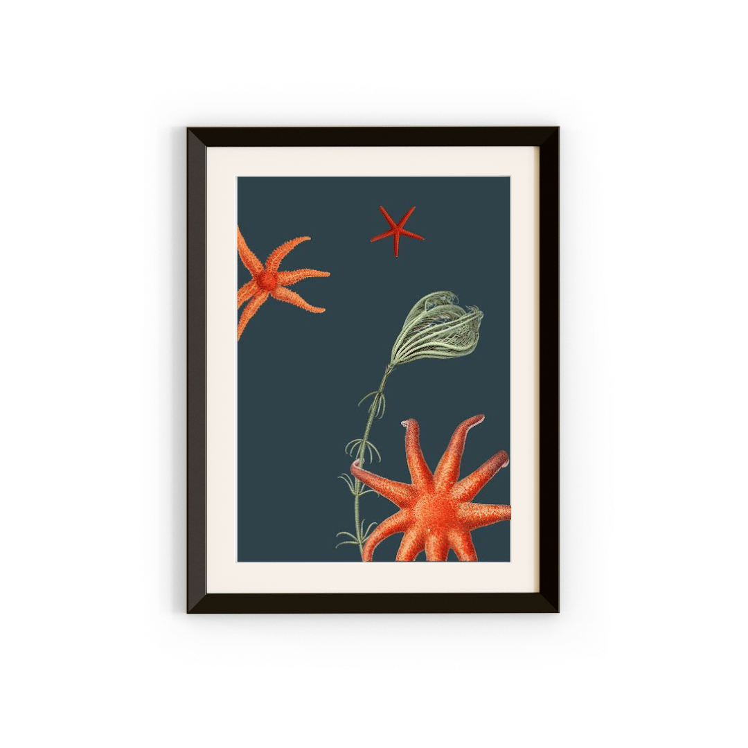 Ocean Starfish Art Print