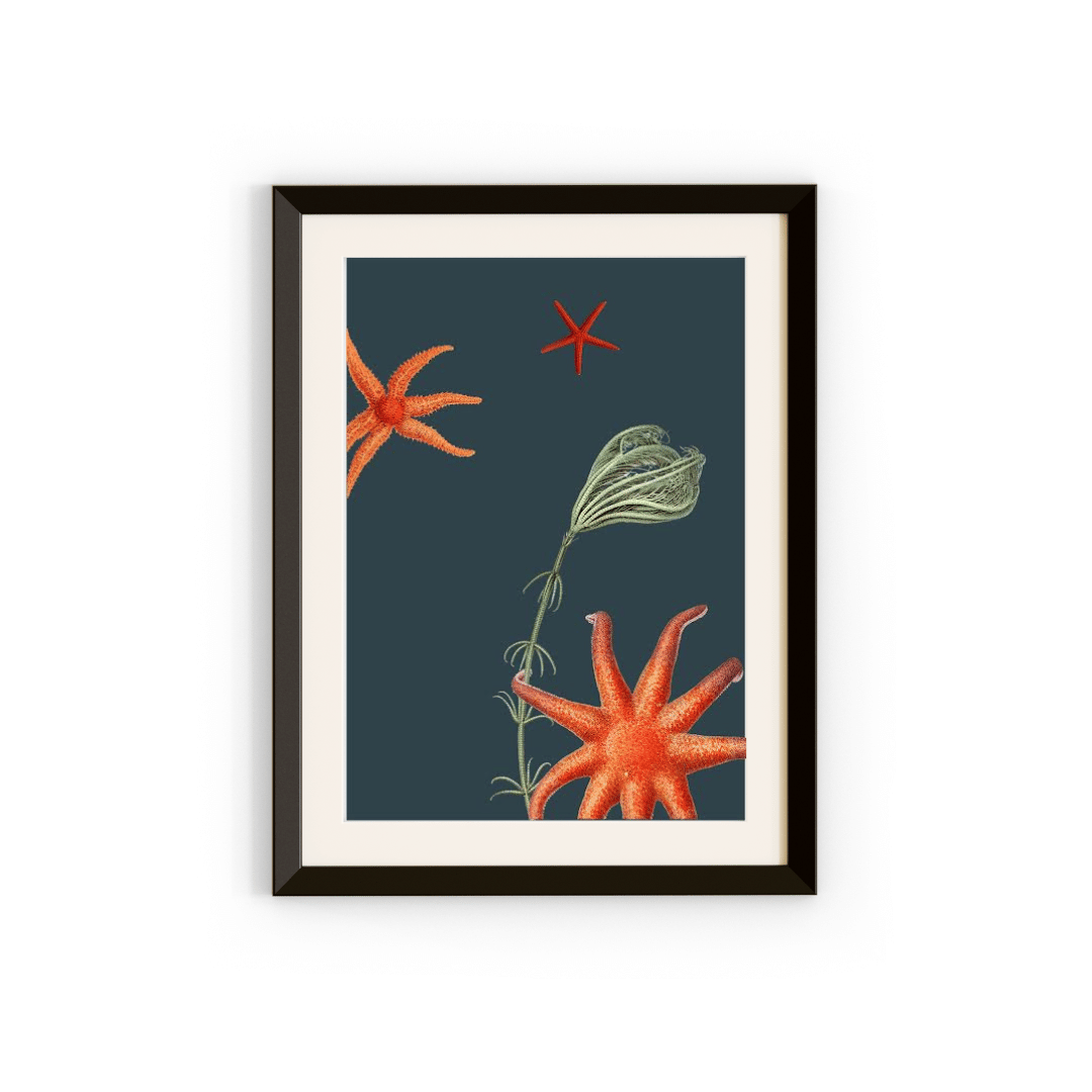 Ocean Starfish Wall Art