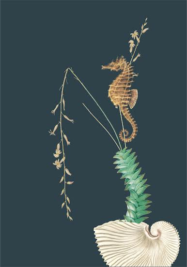 Seahorse Art Print