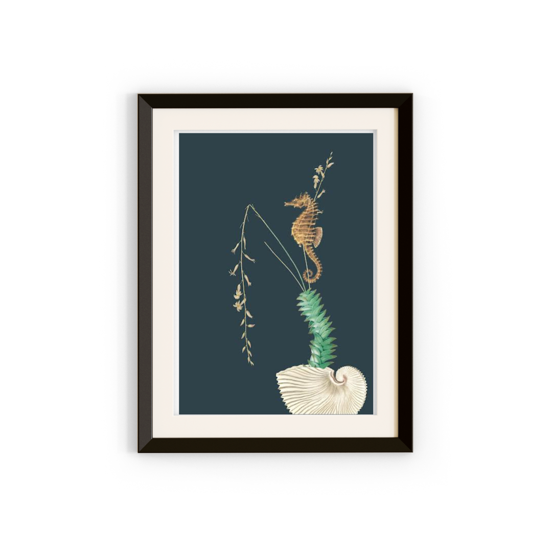 Seahorse Art Print