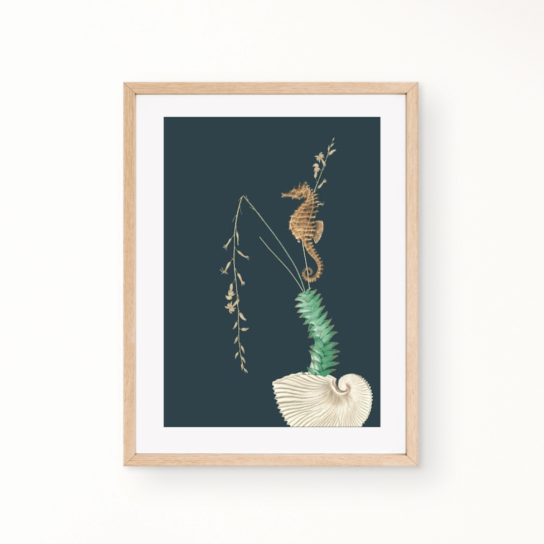 Seahorse Art Print