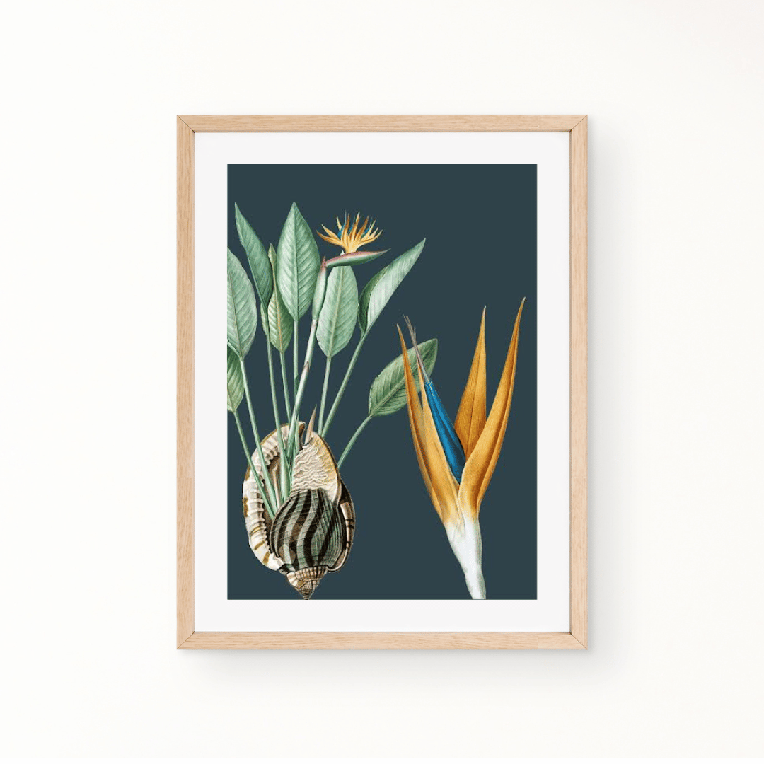 Strelitzia & Shell Art Print