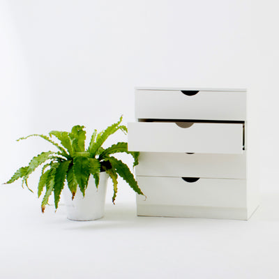Nicole Chest of Drawers - Trestle South Africa