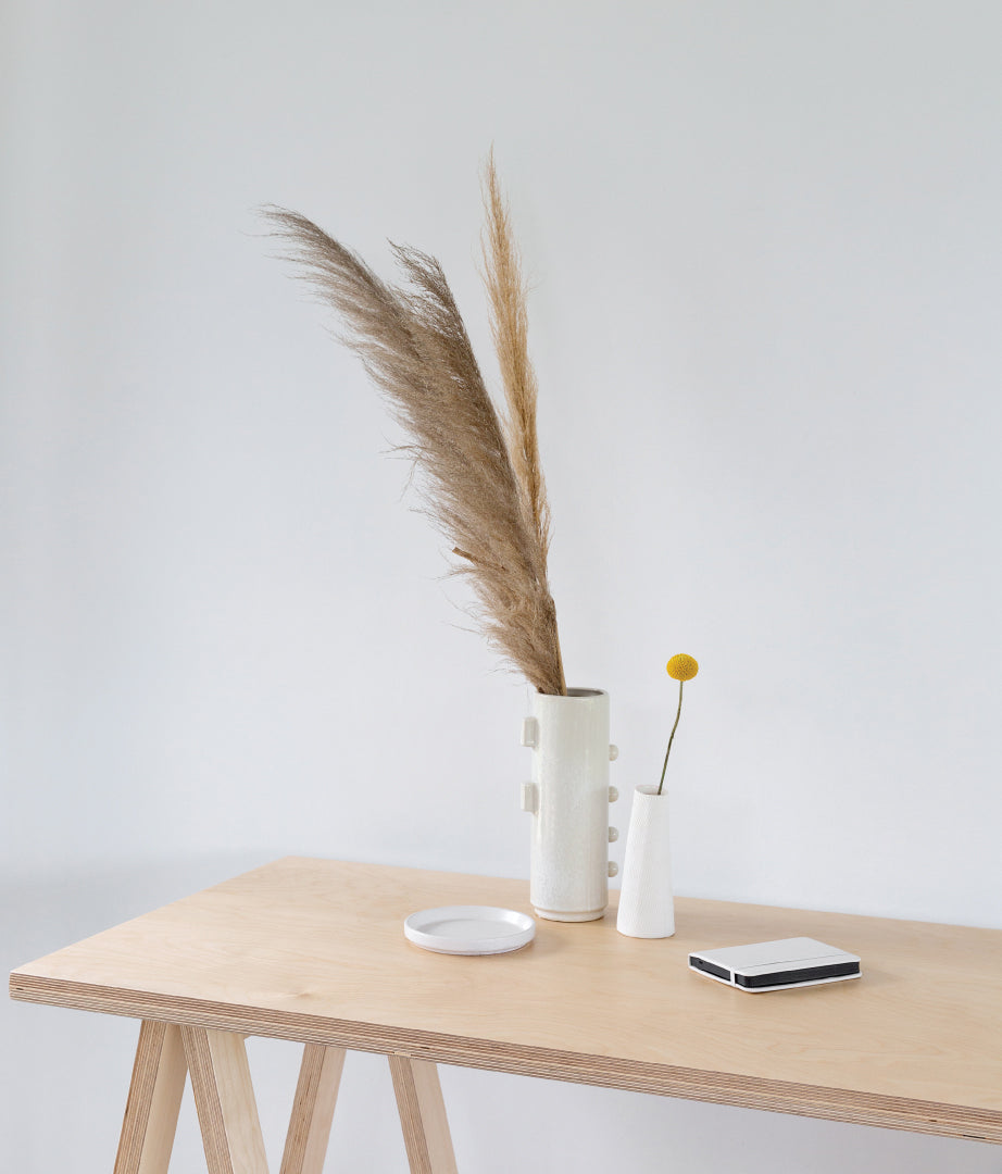 Xanthea. Birch Plywood Desk - Trestle South Africa