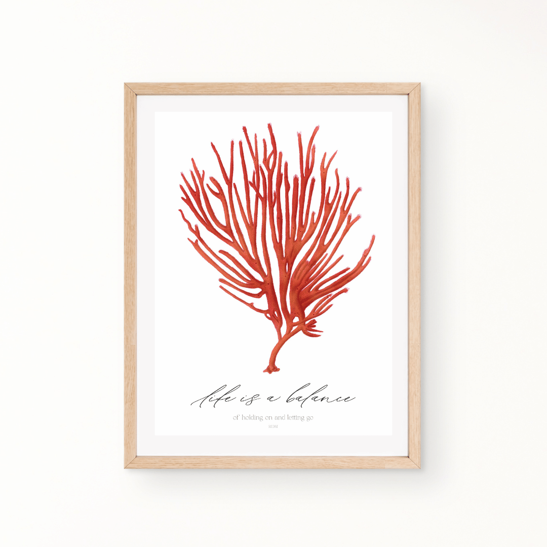 Seaweed Coral Colour Art Print