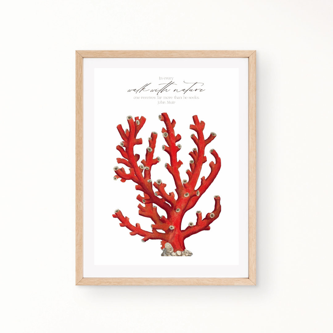 Coral Walk With Nature Art Print