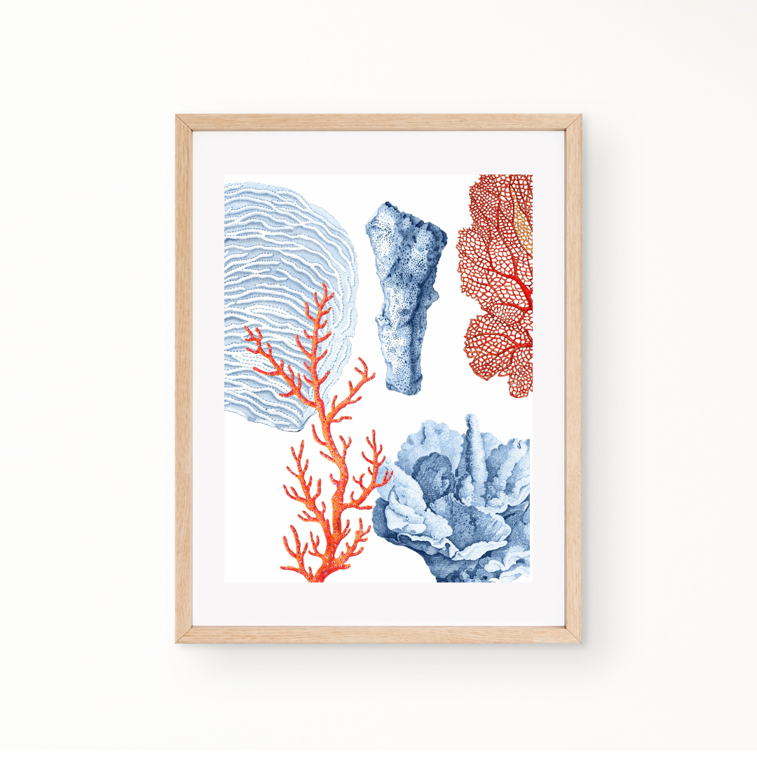 Mixed Coral Wall Art print