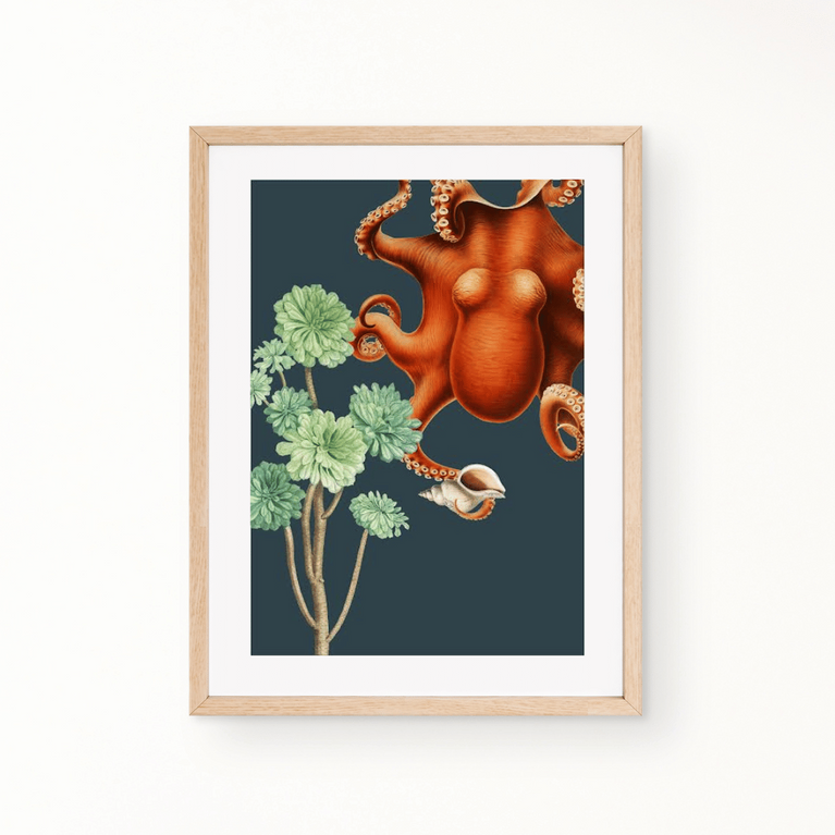 Octopus Botanical Art Print – Trestle South Africa