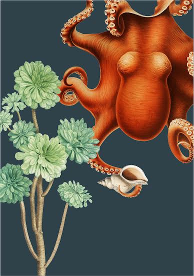 Octopus Botanical Art Print